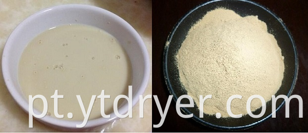 Yeast-1